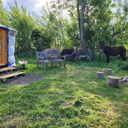 Hotel Slapen Tussen De Ezels In De Yurt Aarschot Exterior foto